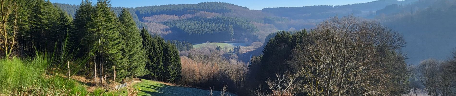 Percorso Marcia Bouillon - Rochehaut 110124 - Photo