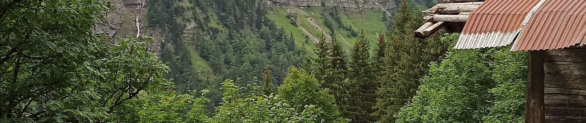 Tocht Stappen Montriond - 09-08-21 lac Montriond et cascade d'ardant  - Photo