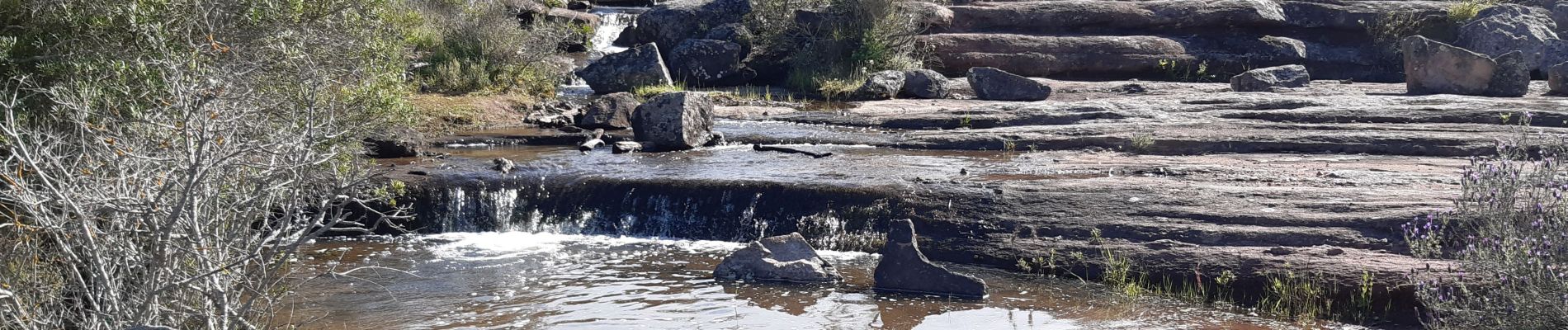 Tour Wandern Le Cannet-des-Maures - les escarcets le 07 05 2021 - Photo