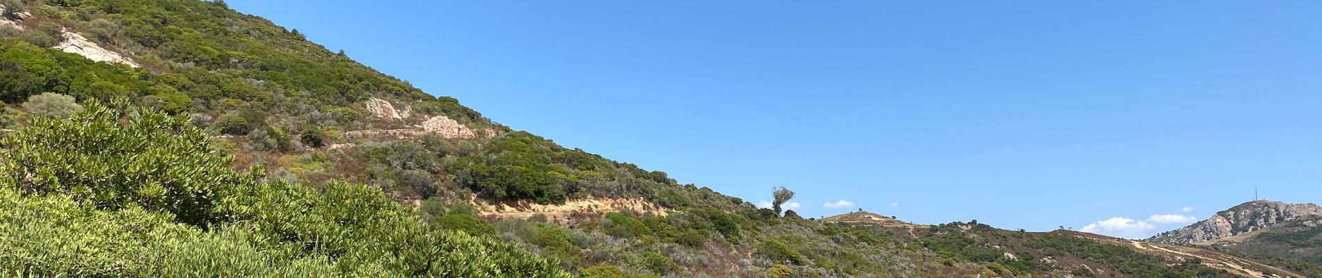 Excursión Senderismo Piana - Retour Capu Rossu - Photo