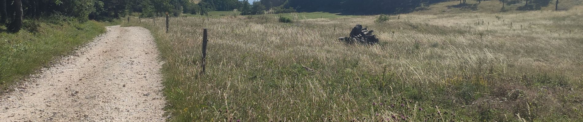 Tocht Stappen Plan-de-Baix - ferme de sauzy canyon des guelards retour par le velan - Photo