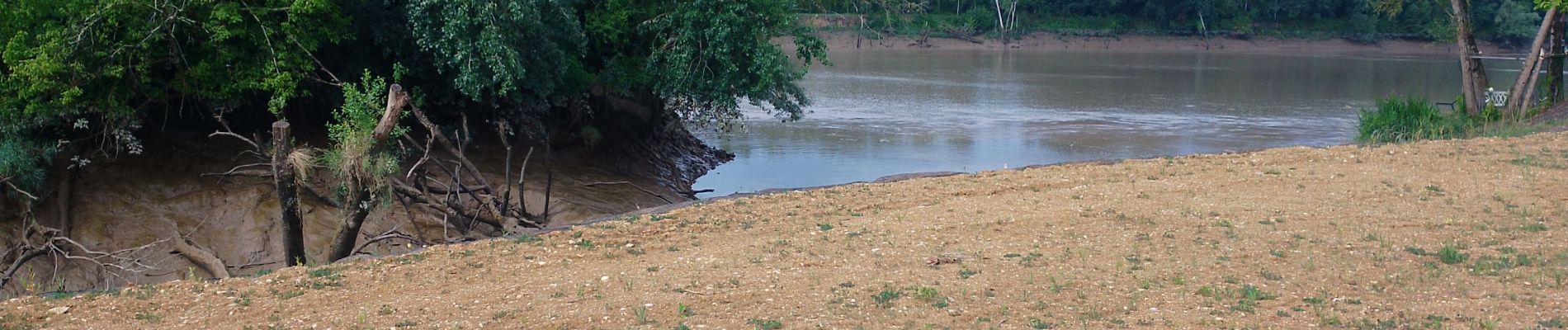 Trail Walking Lestiac-sur-Garonne - aze - Photo