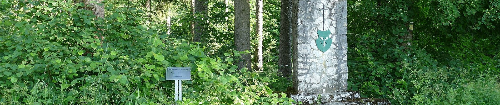 Percorso A piedi Lappersdorf - IVV (blau) - Photo