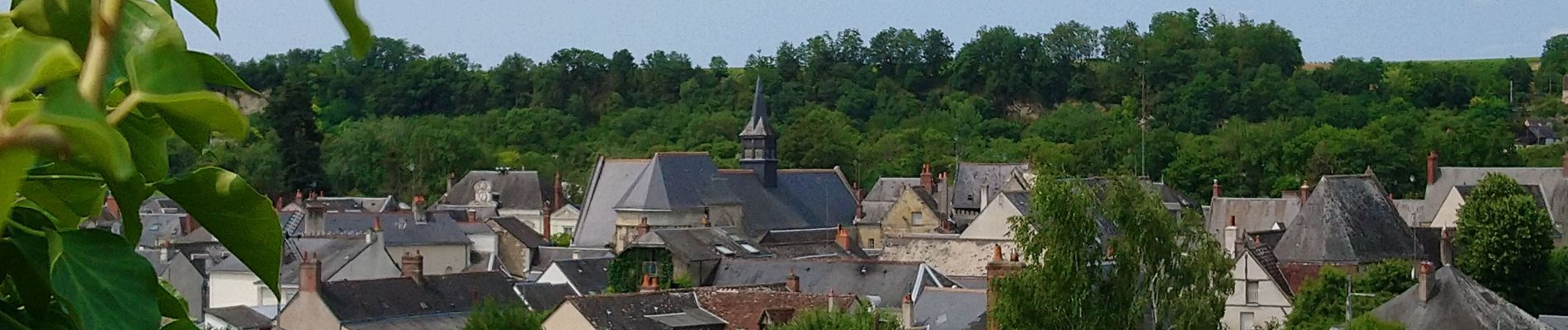 Tocht Stappen Vernou-sur-Brenne - Vernou-sur-Brenne - Variante Sentier Vignes et Patrimoine - 10.9km 140m 2h30 (25mn) - 2023 06 28 - Photo