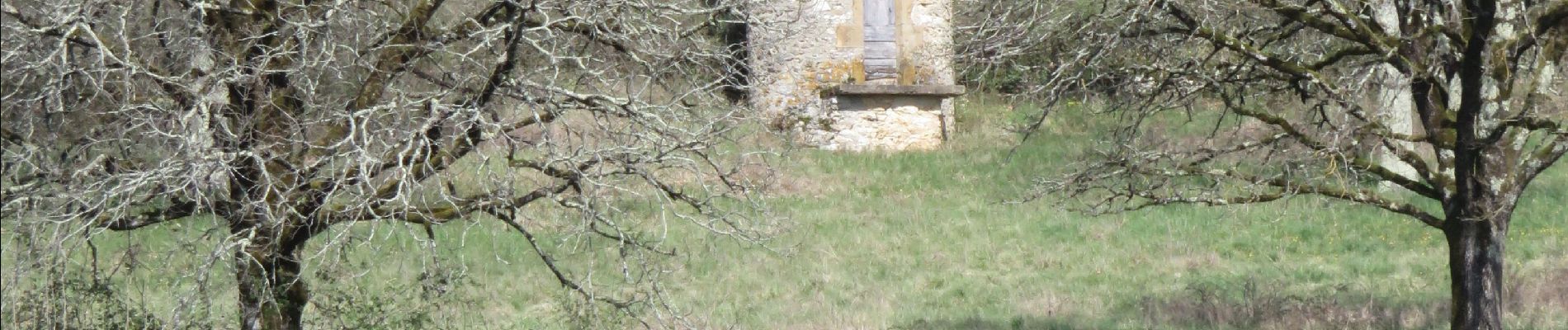 Randonnée Marche Bilhac - BILHAC- Du château au moulin - Photo