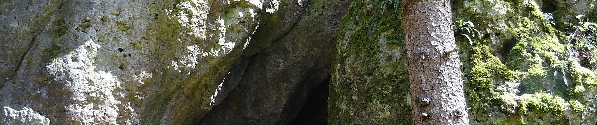 Tocht Te voet Kallmünz - Jurasteig Bärenloch-Schlaufe - Photo