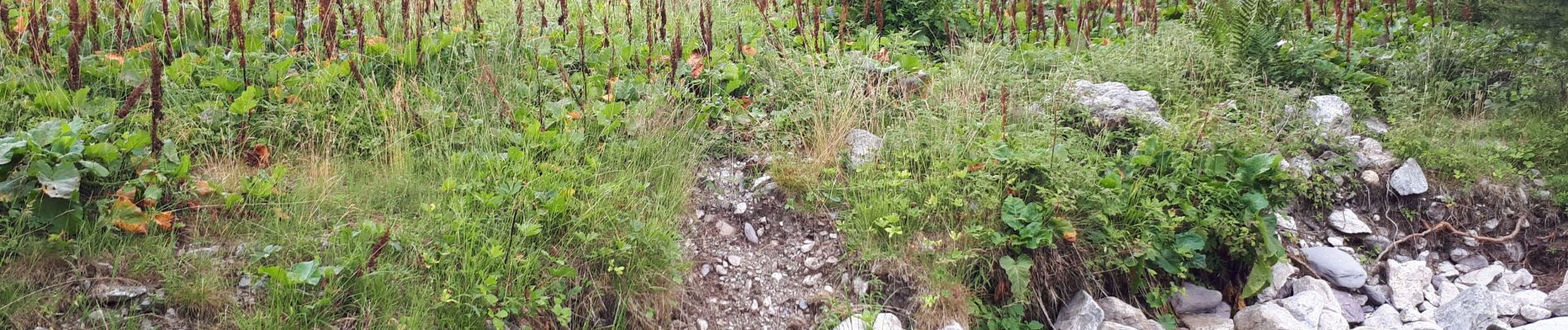 Percorso Marcia Belvedere - Gordolasque,  Pas Arpette, vallon verrairiers - Photo