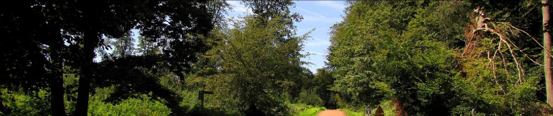 Excursión Senderismo Haramont - en forêt de Retz_79_08_2019_vers Taillefontaine et Retheuil par les lisières - Photo