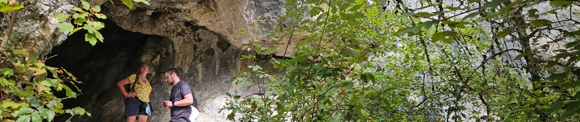 Tour Wandern Talloires-Montmin - réserve Roc de chere - Photo