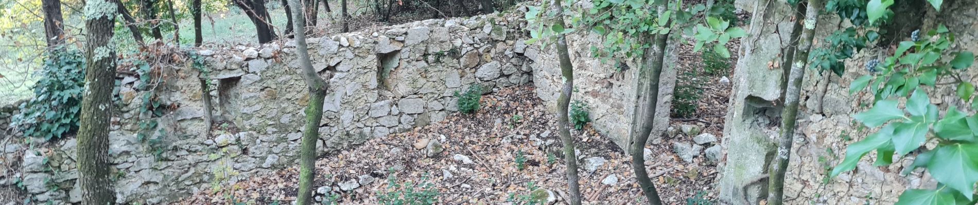 Tour Wandern La Roquebrussanne - croix de bérard. agnis - Photo