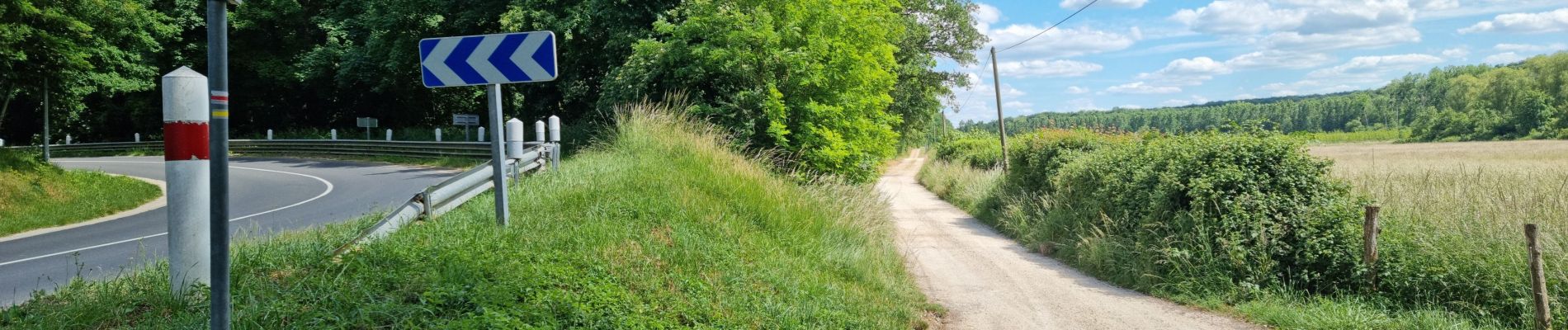 Tour Wandern Coulommiers-la-Tour - Les Bois d'Huchigny, des Péseries et de Villemalin - Photo