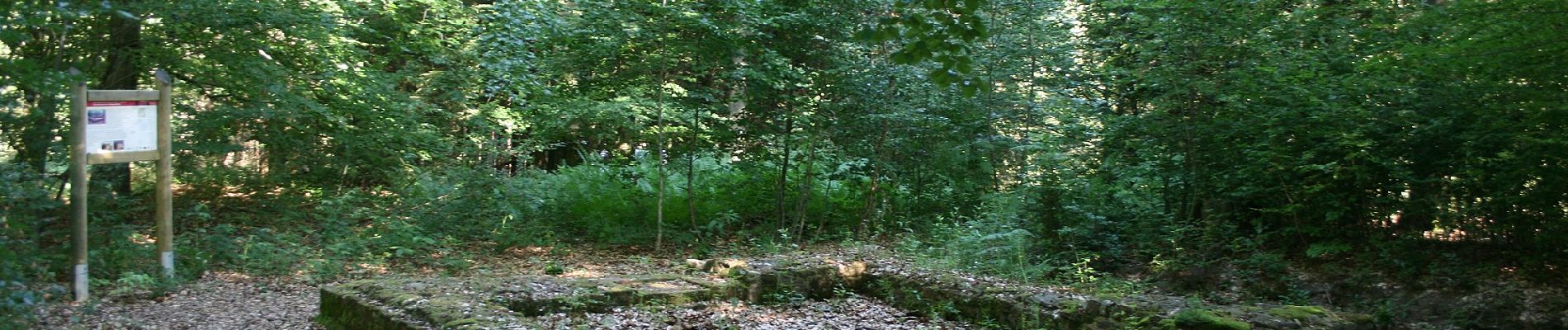 Percorso A piedi Michelstadt - Rundwanderweg Würzberg 4 : Hubenweg Würzberg - Photo