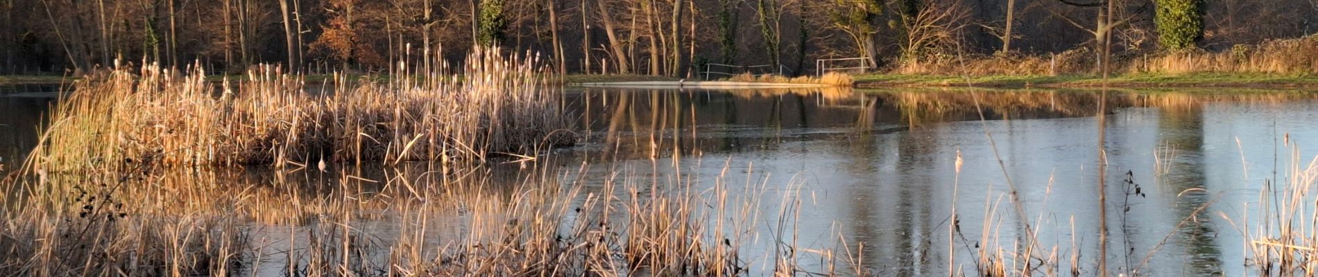 Tour Wandern Saint-Pourçain-sur-Sioule - Petit tour digestif du Nouvel An - Photo