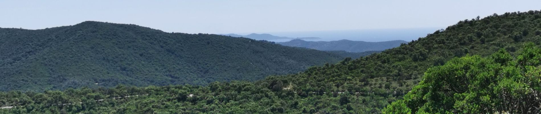 Randonnée Marche Bormes-les-Mimosas - Vallons de la Gourre et des Caunes  - Photo