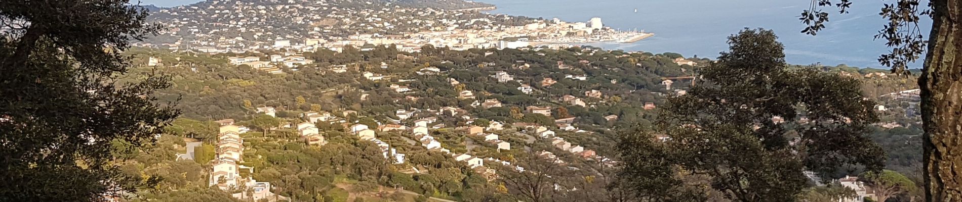 Excursión Senderismo Grimaud - HAUTEURS DE BEAUVALLON - Photo