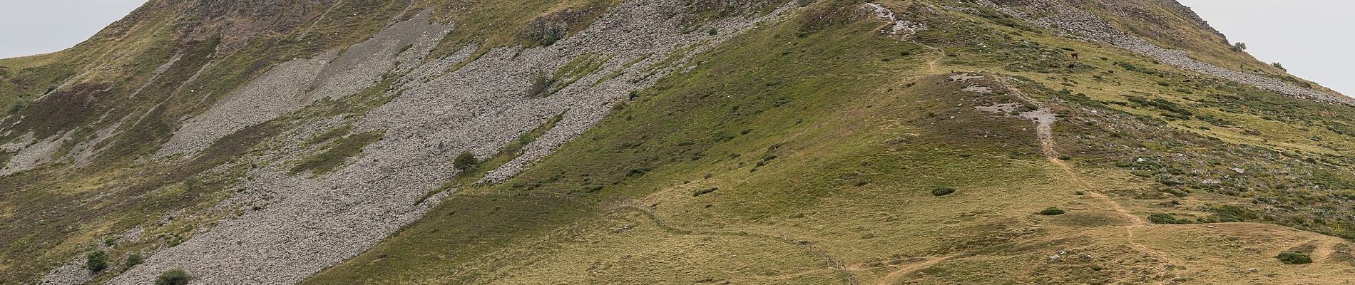 Tocht Te voet Le Claux - Les Burons - Photo