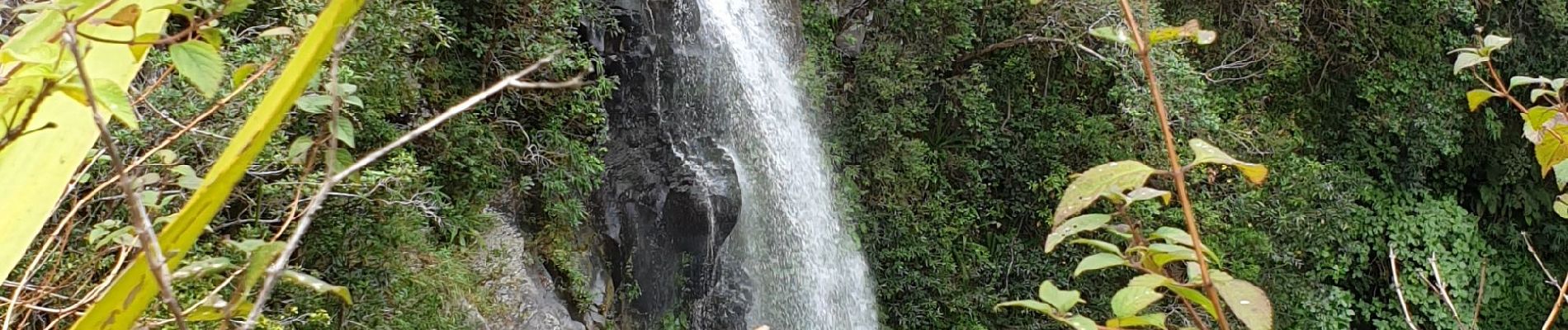 Excursión Senderismo Le Tampon - Cascade Voile de la Mariée- Grand Bassin - Photo