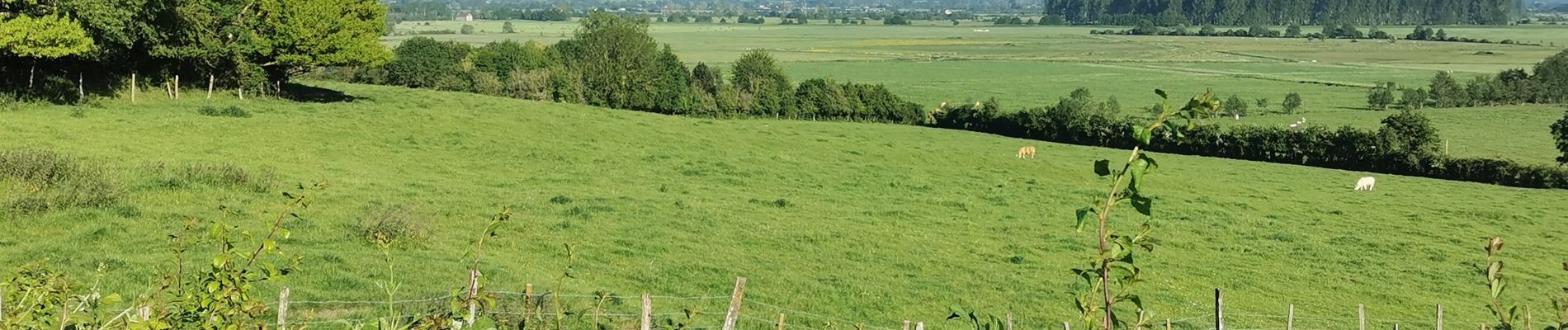 Excursión Bicicleta híbrida Méry-Bissières-en-Auge - Mon parcours - Photo