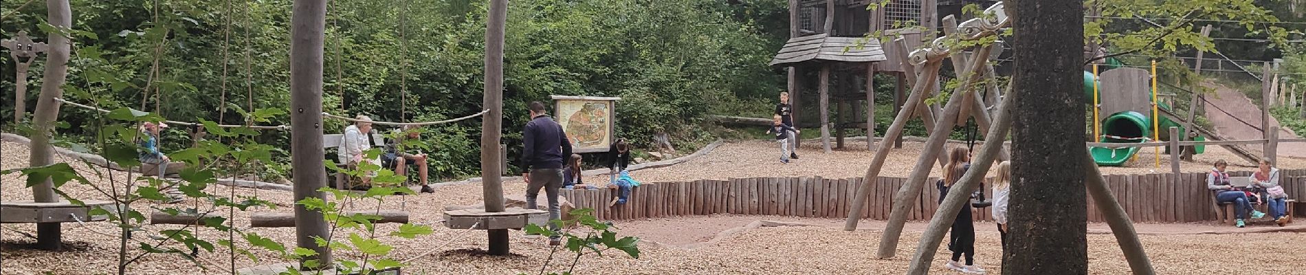 Excursión Senderismo Mettlach - Randonnée au dessus de la boucle de la Sarre  - Photo