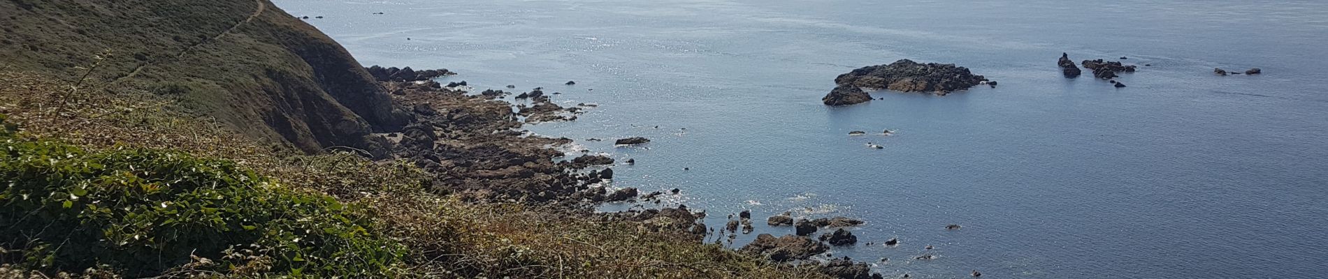 Randonnée Marche La Hague - Tour du nez de Jobourg  - Photo