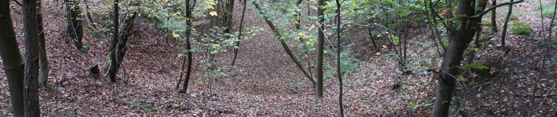 Randonnée A pied Böblingen - DE-SAV Blauer Punkt, von Böblingen Lange Schläge - Thermalbadkreuzung - Photo