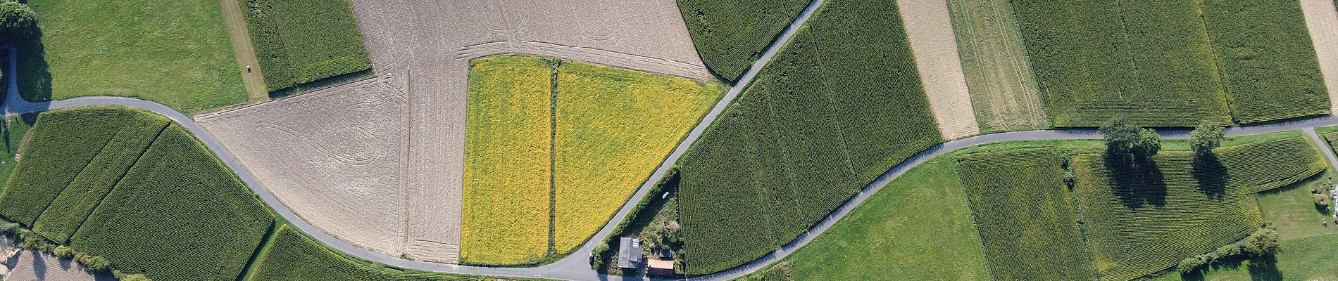 Tocht Te voet Bad Gleichenberg - Ameisenstraße - Photo