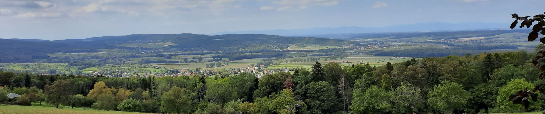 Randonnée Marche Wolschwiller - wolschwiller - Photo