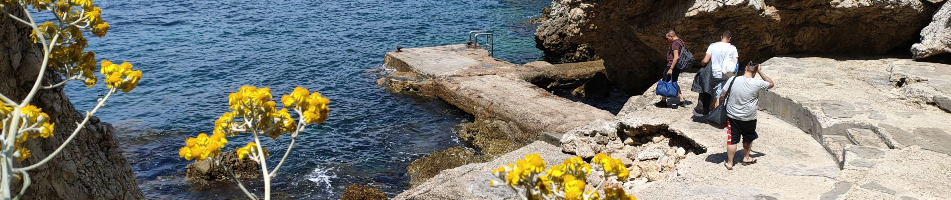 Percorso Marcia Antibes - cap Antibes garoupe - Photo