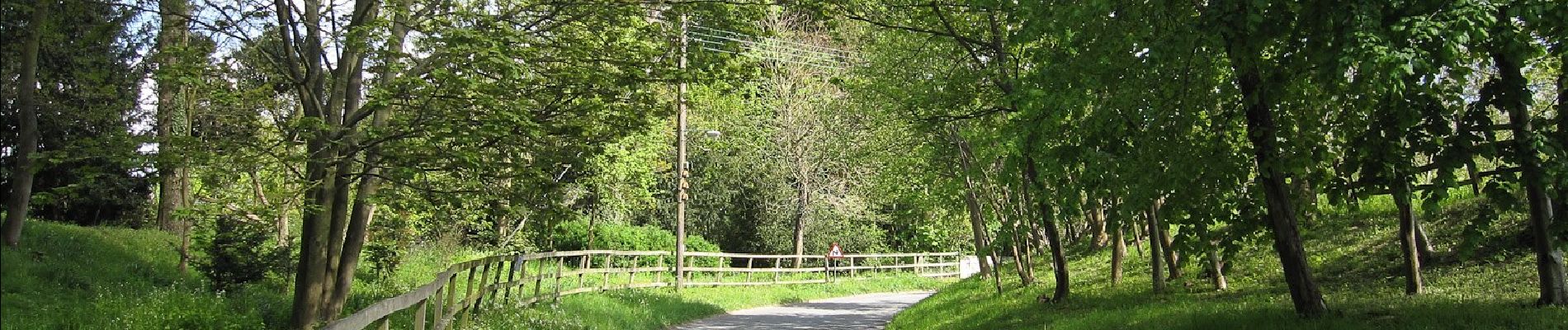 Randonnée A pied West Suffolk - Freckenham Circular Walk - Photo