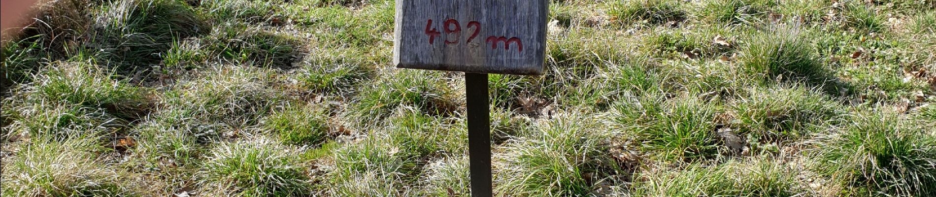 Percorso Marcia Marsanne - Sentier des jonquilles  - Photo