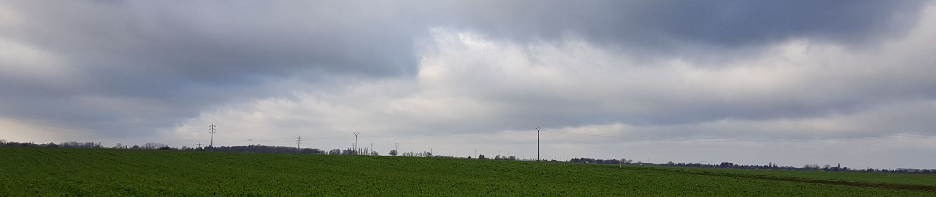 Randonnée Marche Liège - Wihogne (Rocourt) 18012020 - Photo