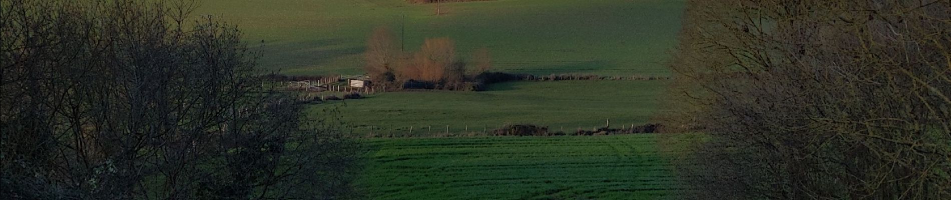 Randonnée Marche Belforêt-en-Perche - la perrière par la route - Photo