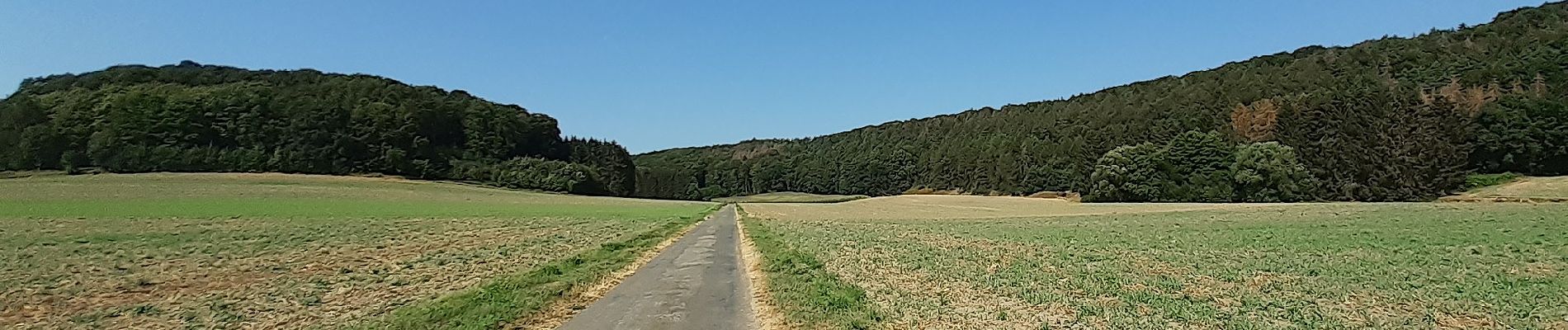 Tocht Te voet Stemwede - Stemweder Berg - Photo