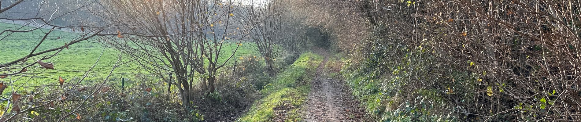 Tocht Stappen Tervuren - Jesus Eik 13 km - Photo