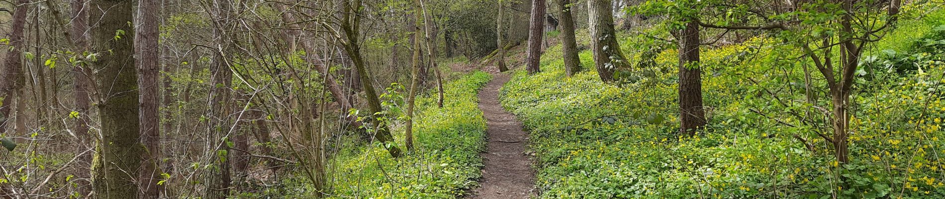 Tour Wandern Neupré - Bonsgnée - Photo