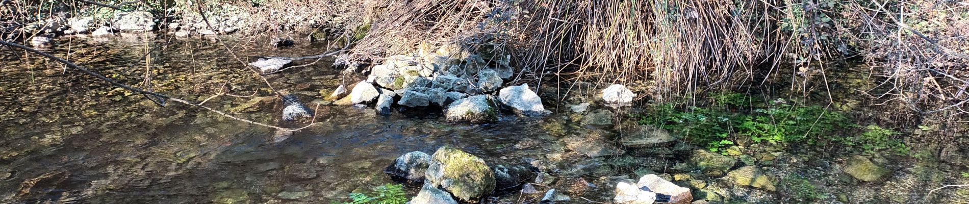 Randonnée Marche Seillons-Source-d'Argens - Rocher des abeilles-02-02-2022 - Photo