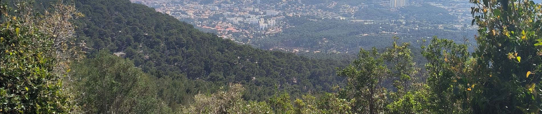 Tour Wandern Ollioules - le croupatier la grotte  - Photo