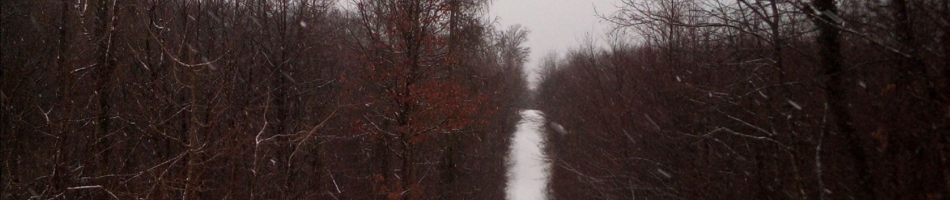 Tour Wandern Besançon - BESANCON Forêt de CHAILLUZ - Photo