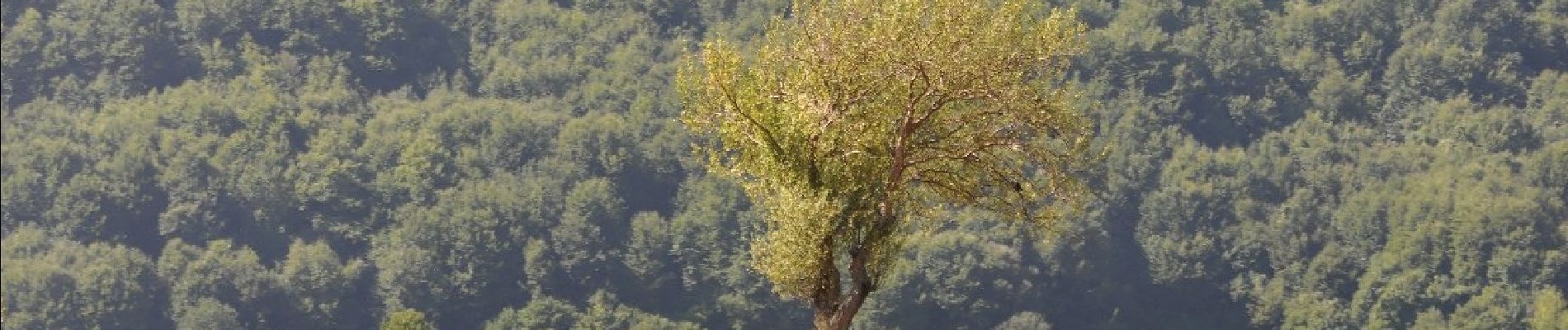 Excursión A pie San Gregorio Matese - Valico Monte Soglio - Photo