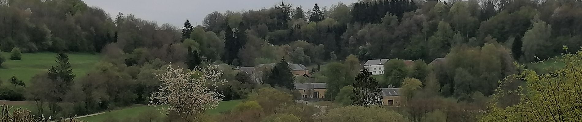 Tocht Stappen Florenville - Le chemin de la Roche à l'Appel  - Photo