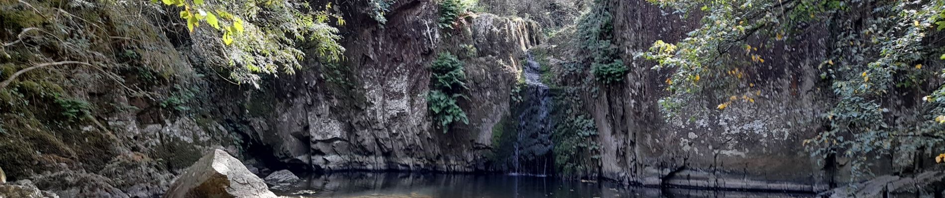 Tocht Stappen Thouars - DEUX-SEVRES / THOUARS: CASCADE DE POMMIERS (Ruisseau du Presssoir) - Photo