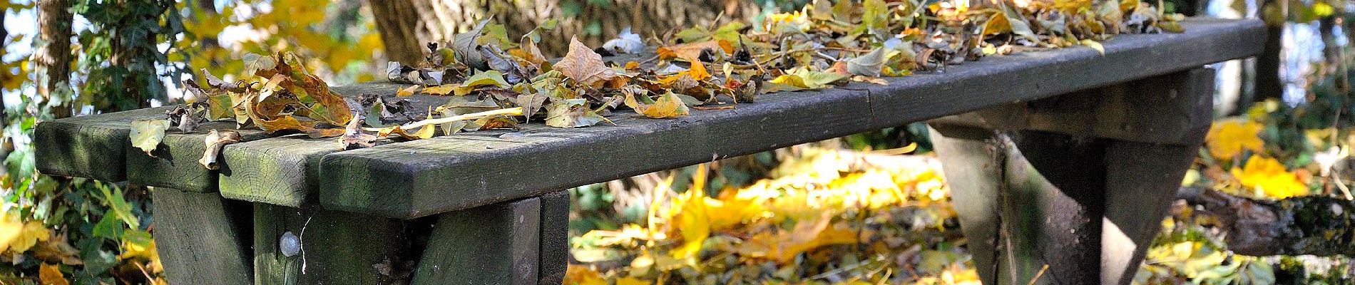 Percorso A piedi Brescia - Sentér dei Brüsàcc - Photo