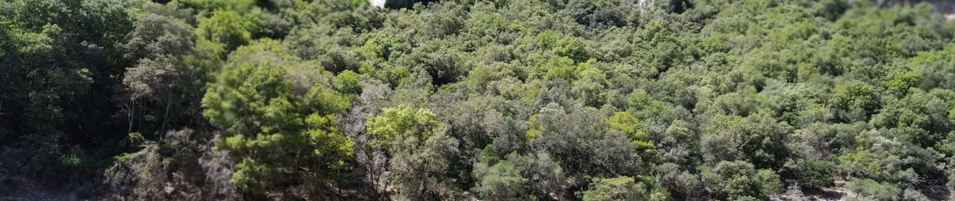 Excursión A pie Labastide-de-Virac - Wikiloc Gorges de l'Ardeche - Photo