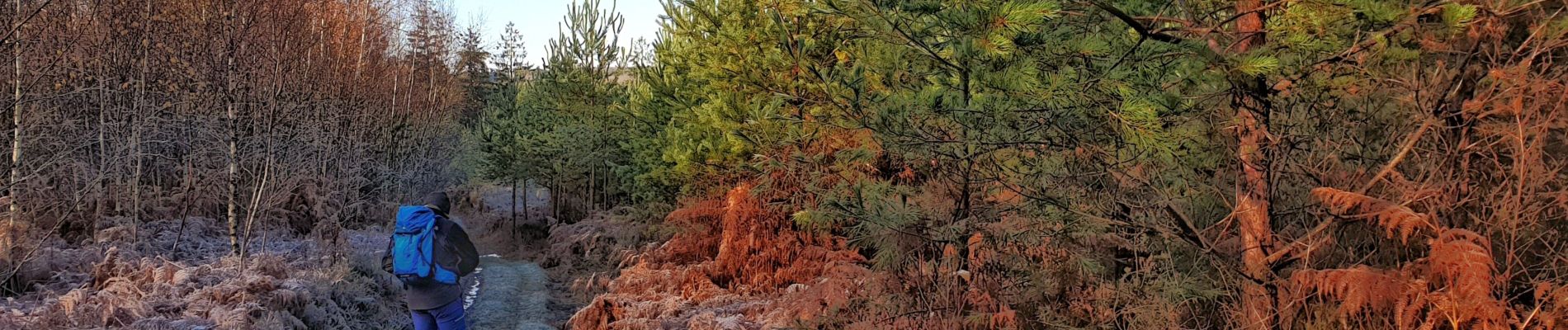 Tocht Stappen Viroinval - Balade dans le Viroinval - Le Mesnil - Photo