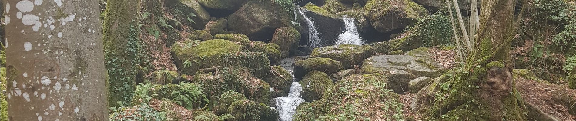 Tour Wandern Escoussens - 81-Escoussens-la Blancarie-cascade de Mouscaillou-04/03/2023 - Photo