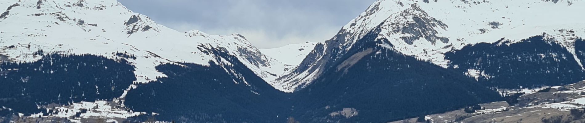 Randonnée Marche La Plagne-Tarentaise - plan bois - Photo