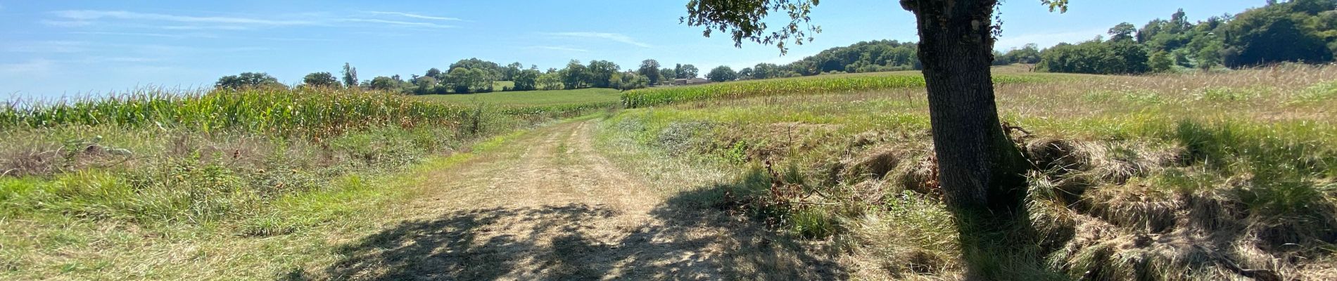 Tour Wandern Aire-sur-l'Adour - GR65 Aire sur Adour > Miramont-Sensacq - Photo