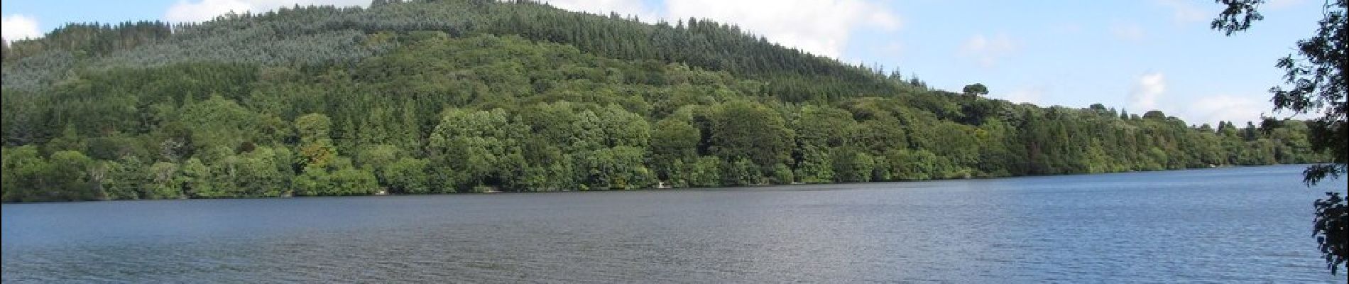 Randonnée A pied Inconnu - Castlewellan Forest Park - Moorish Tower Walk - Photo