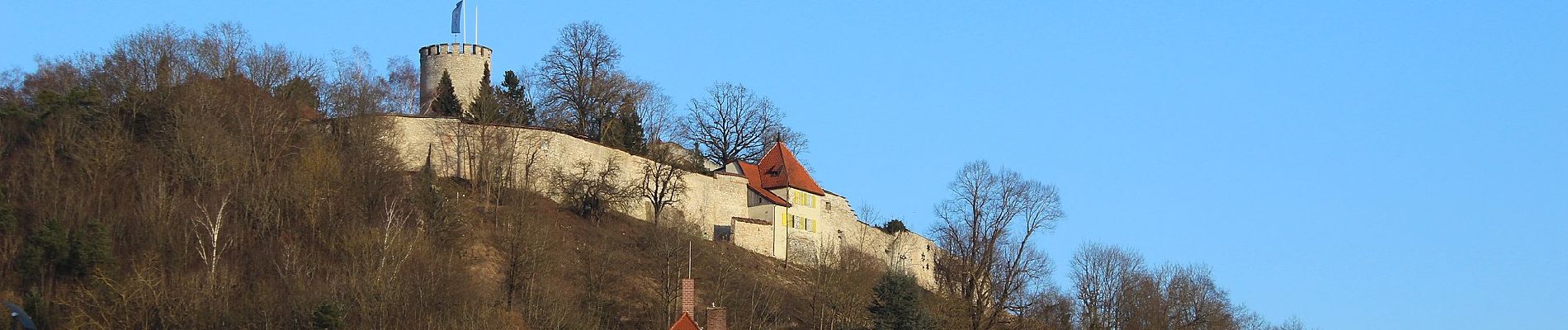 Tour Zu Fuß Burglengenfeld - Städtedreieck-Rundweg 5 (Grün) - Photo