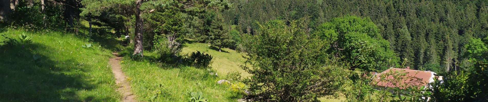 Excursión Senderismo Septmoncel les Molunes - Sentier des Diots - Photo